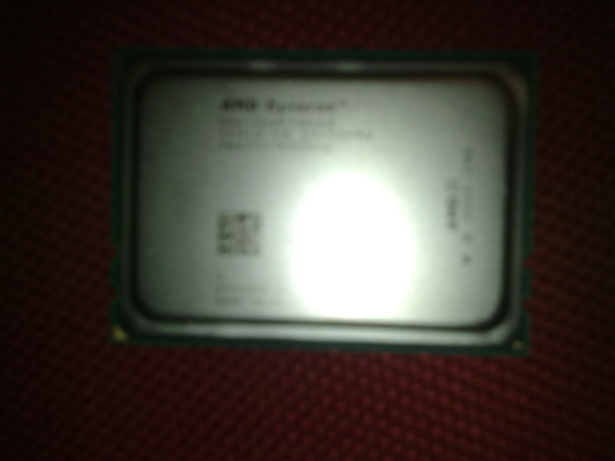 amd皓龙6176se