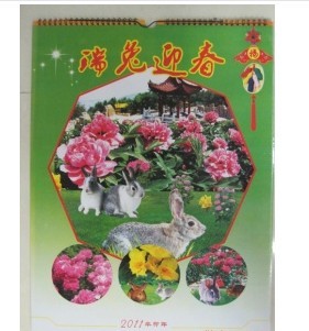 挂历、台历