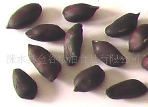 涞水县金谷粮油食品有限公司 1