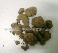亳州市四芝堂药业有限责任公司 1