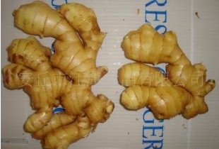 生姜、保鲜生姜