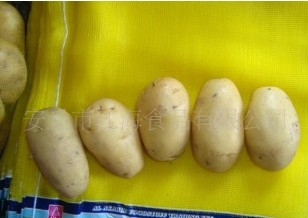 新鲜土豆、网袋装、纸箱装土豆