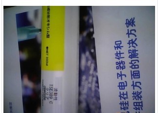 tse389