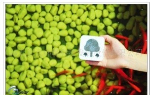 甲醛清除剂/变色球家装修用甲醛清除剂/除异味、甲醛