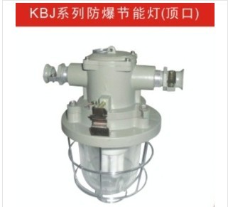 防爆灯具