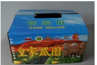 纸箱
