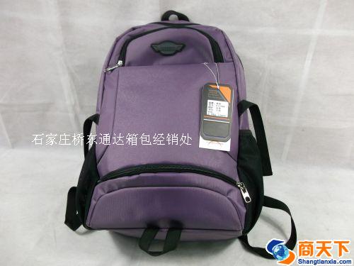 紫色双肩包 学生背包