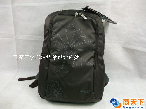 双肩背包 学生包 登山包