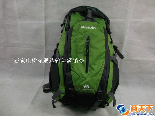 绿色双肩背包 学生包 登山包