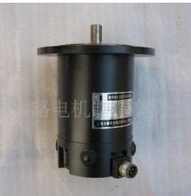 320v永磁直流电机