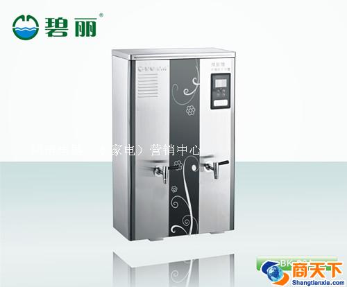碧丽双聚能步进式开水器