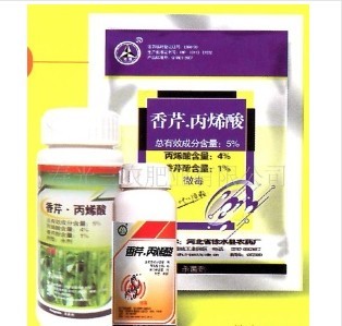 真菌净