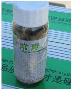 素叶面肥