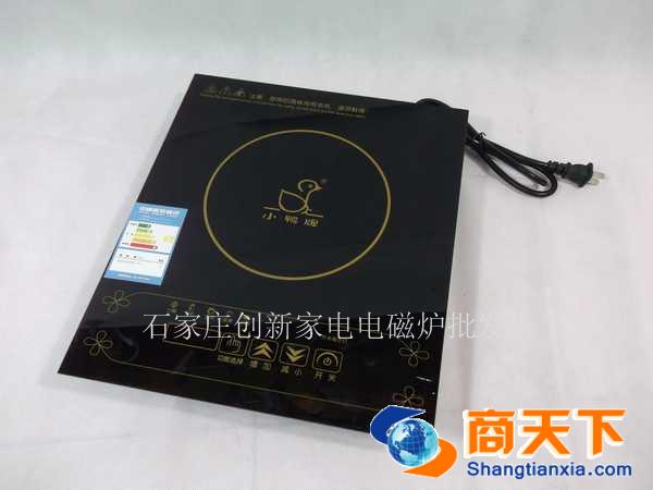 小鸭牌 电磁炉