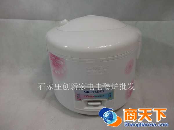 半球 电饭煲