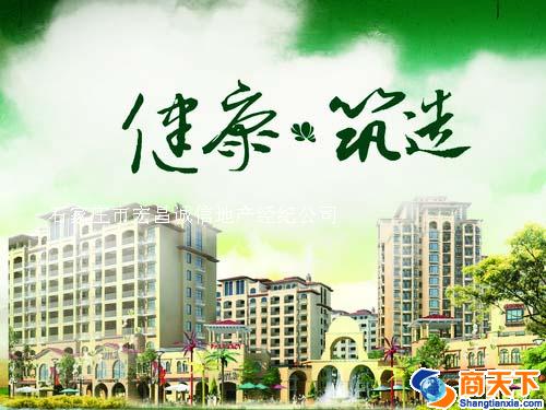 项目推广主题设定
