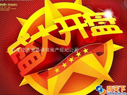 媒体及广告策略