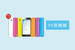 石家庄世博通讯设备有限公司 P5双核版