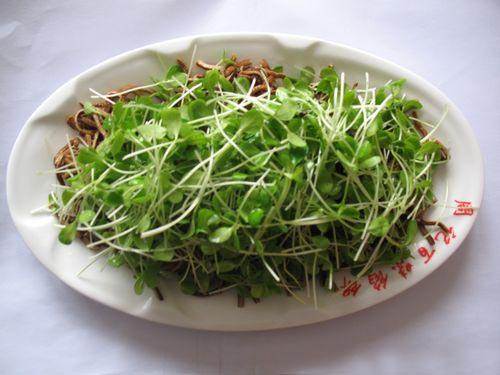 椿芽豆腐丝