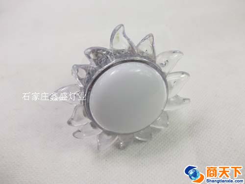 太阳花