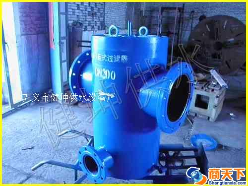 西安篮式过滤器、毛头过滤器