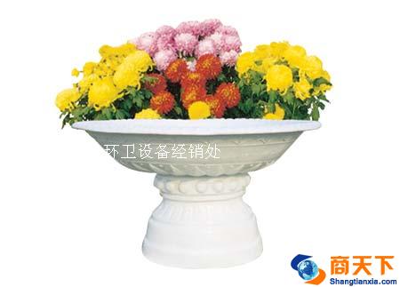 大号花盆