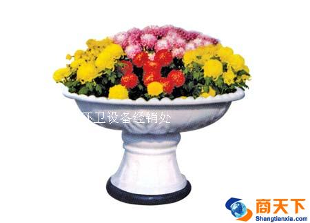 中小号花盆