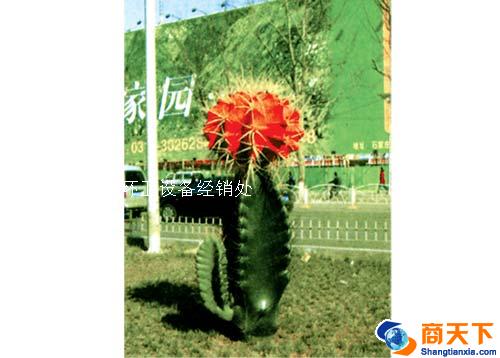 仙人剑