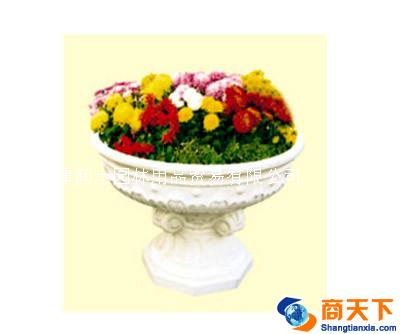 花盆