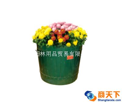 木质花盆