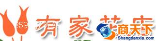 裕华区有家花店