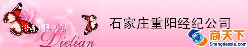 石家庄重阳经纪公司