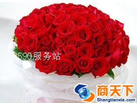 情缘鲜花礼品店