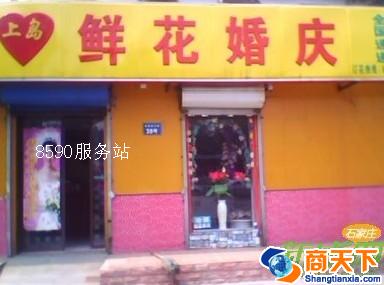 上岛鲜花