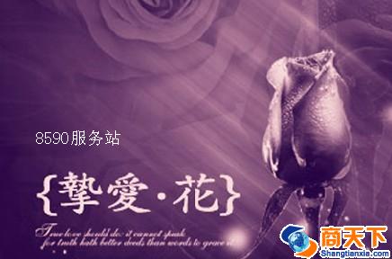 简约文化传统有限公司