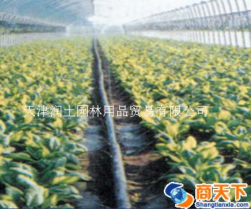 微喷带