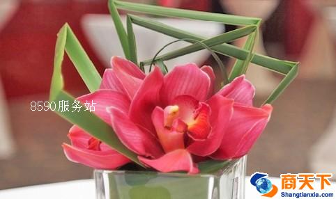 服务-恒星锦上花婚礼专业策划机构