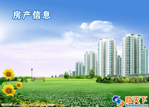服务-正大房地产