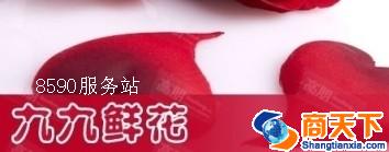 九九鲜花