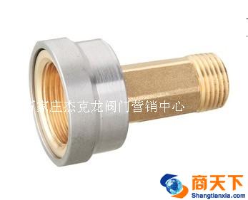 T120黄铜防盗燃气接头