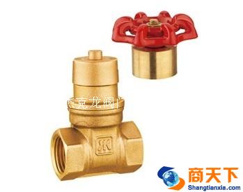 119黄铜磁性锁式闸阀Z15W-16T