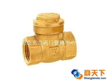 404黄铜止回阀