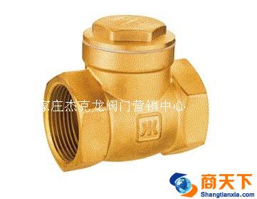 408黄铜止回阀