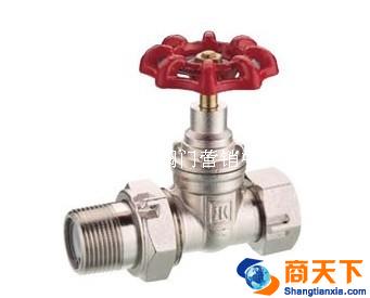 127黄铜带止回双活接闸阀