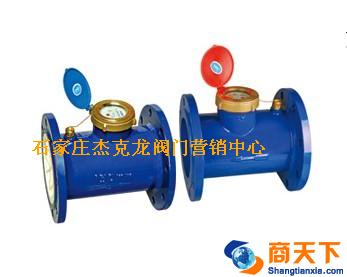水平螺翼式冷热水表