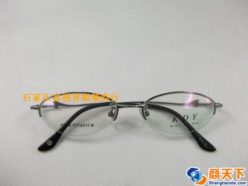 凯迪亚纯钛镜框 9138-C03