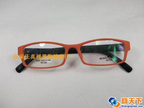 TR镜架 80209-C1