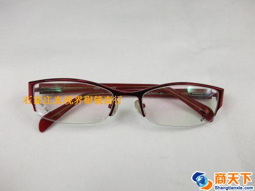 谢霆锋金属镜架 0556-C21