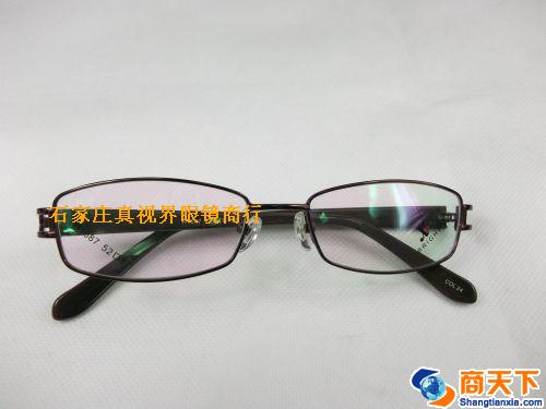 谢霆锋金属镜架 H1087-C24