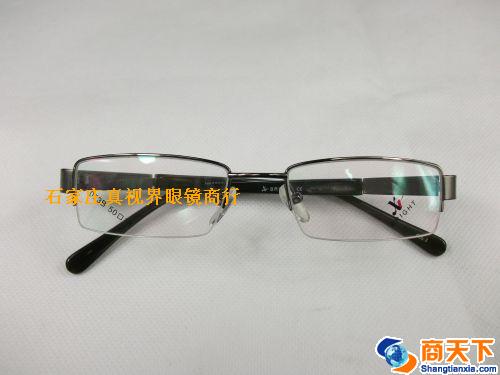谢霆锋金属镜架 H1073B-C3